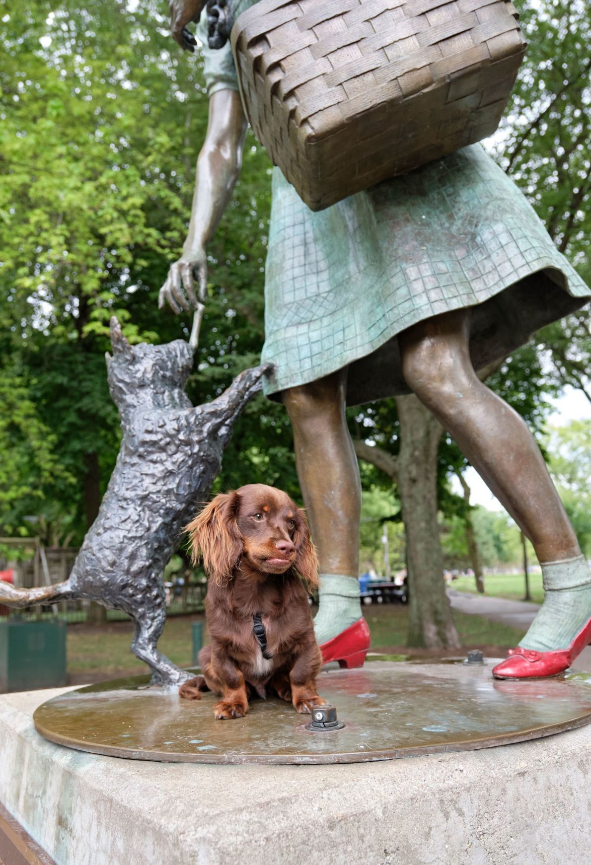 Tito - The New Toto